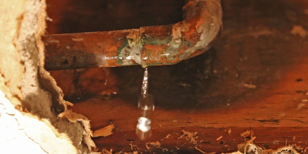 Leak Detection How to Find and Fix Leaks in Your Plumbing System