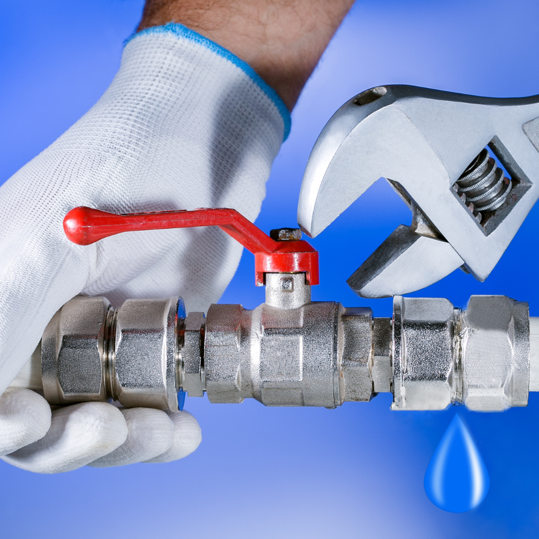 Harmonious Connection Exploring the Interdependence of Plumbing and