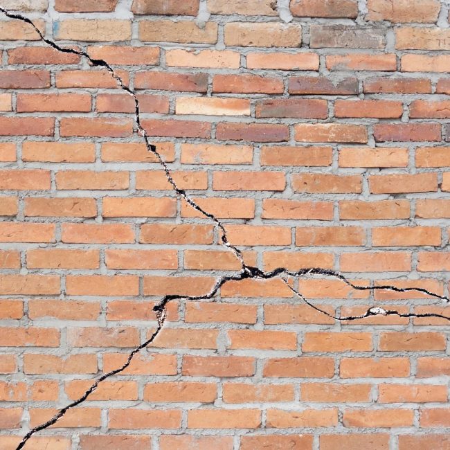 foundation